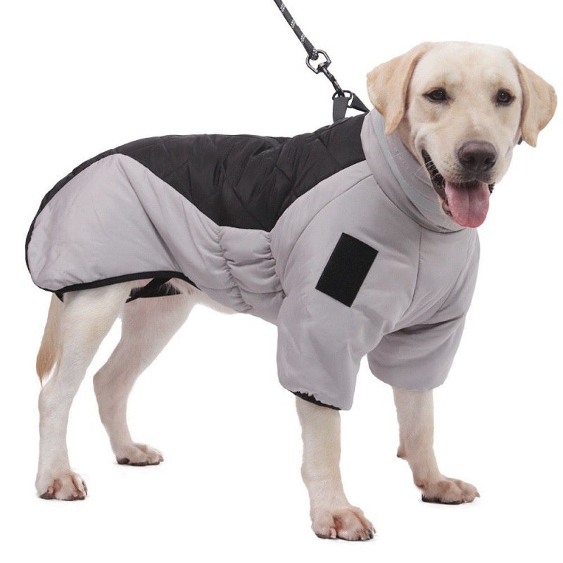 Padded Winter Dog Coat