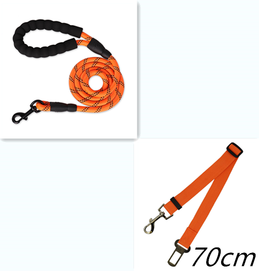 Reflective Nylon Dog Leash - Orange set
