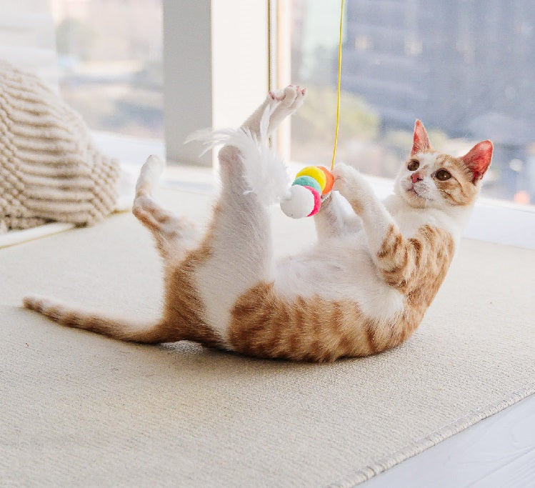 Hanging Elastic Rope Cat Toy