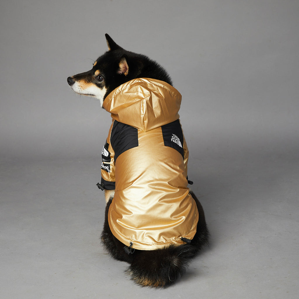Gold Dog Raincoat Jacket