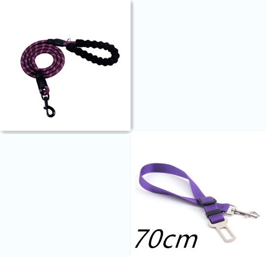 Reflective Nylon Dog Leash - Purple set