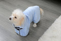 Microfiber Pet Bathrobe - Blue / XS