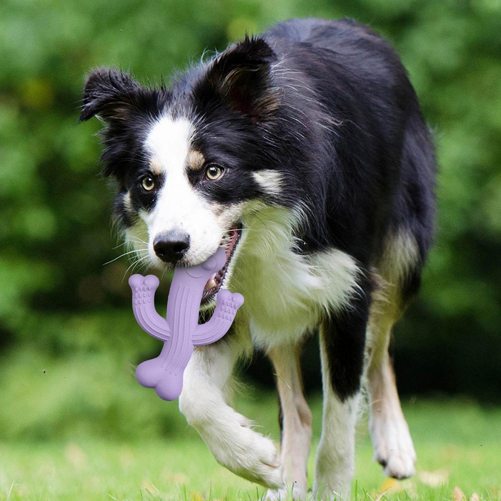 Cactus-Shaped Chew Toy for Dogs