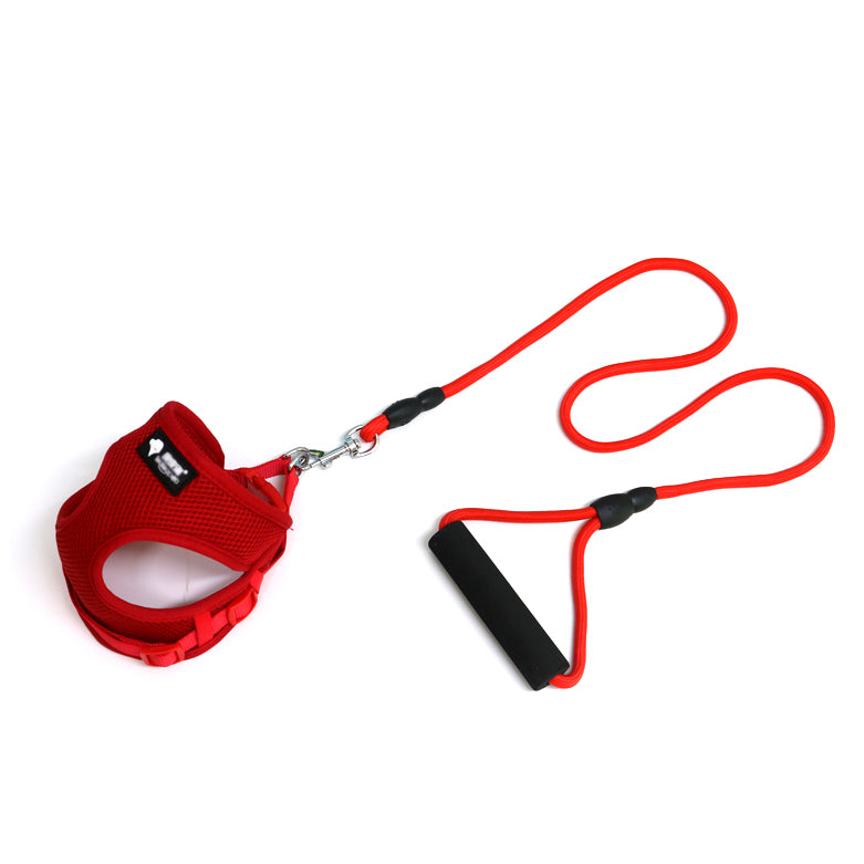 Mesh Dog Harness and Leash Set