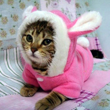 Bunny Ear Fleece Pet Hoodie