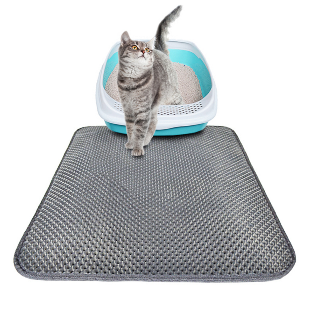 Double-Layer Cat Litter Mat