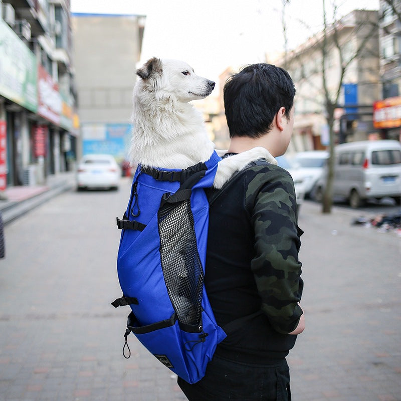 Double-Strap Dog Carrier Backpack