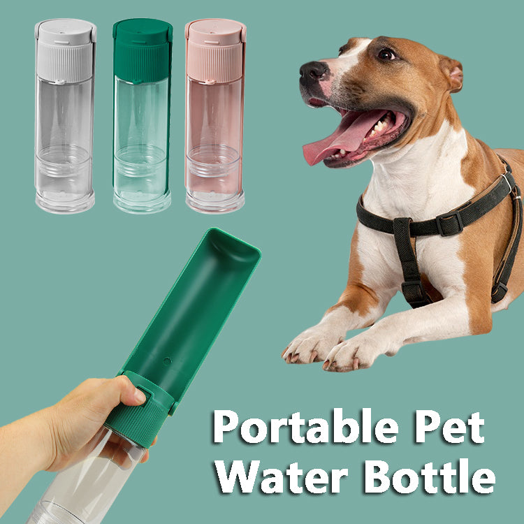 Pet Water Bottle with Slide-Out Trough