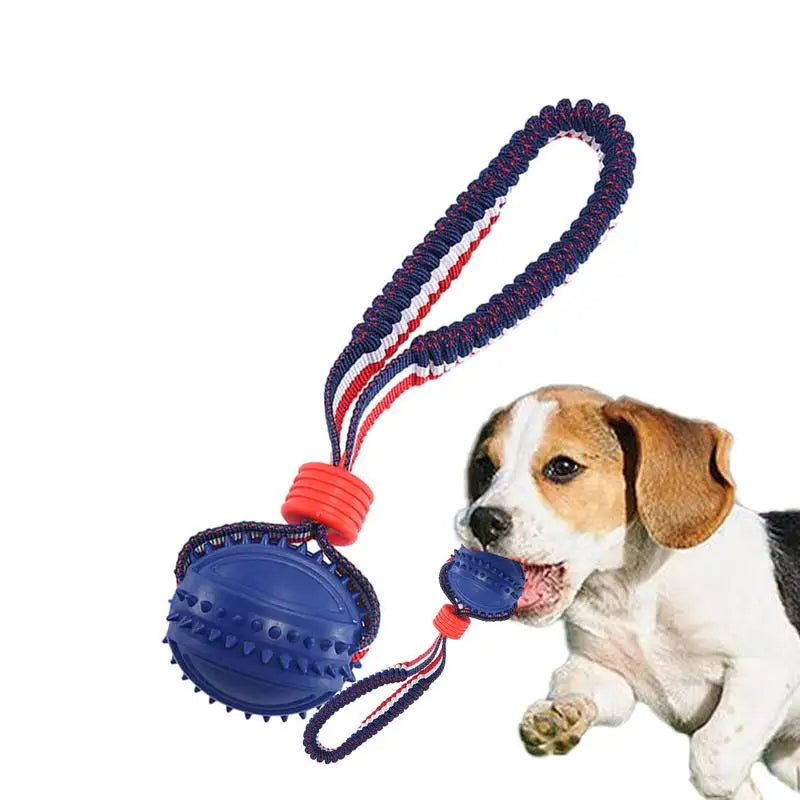 Ball Toy with Elastic Rope for Dogs