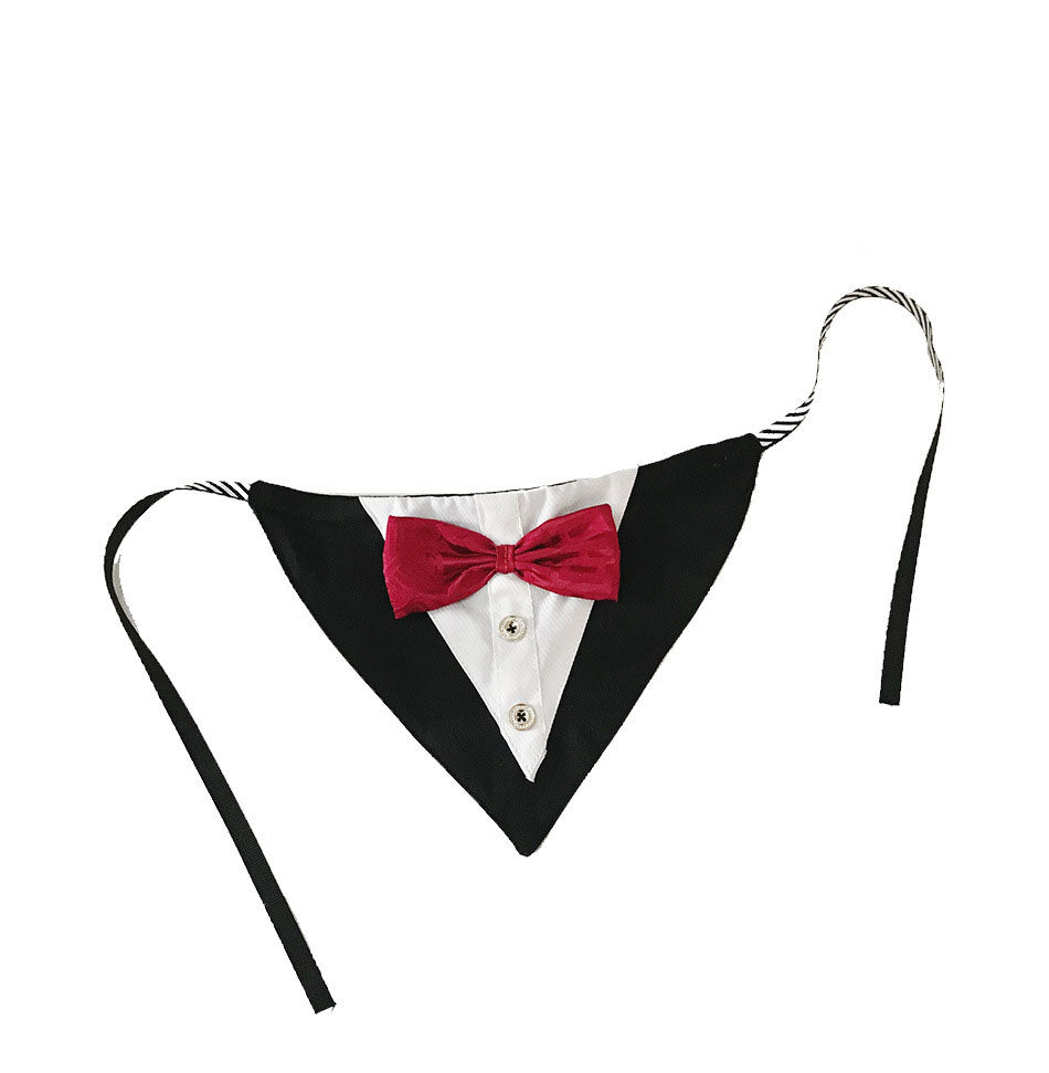 Printed Triangle Pet Bandana