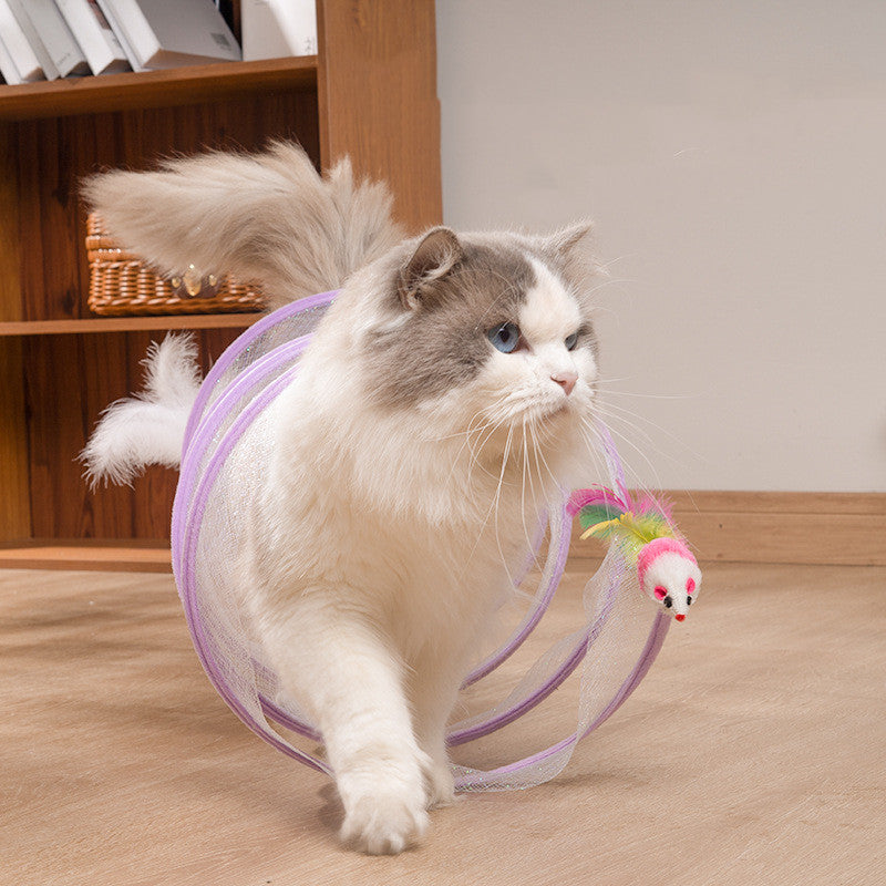 Foldable S-Type Cat Tunnel with Toy