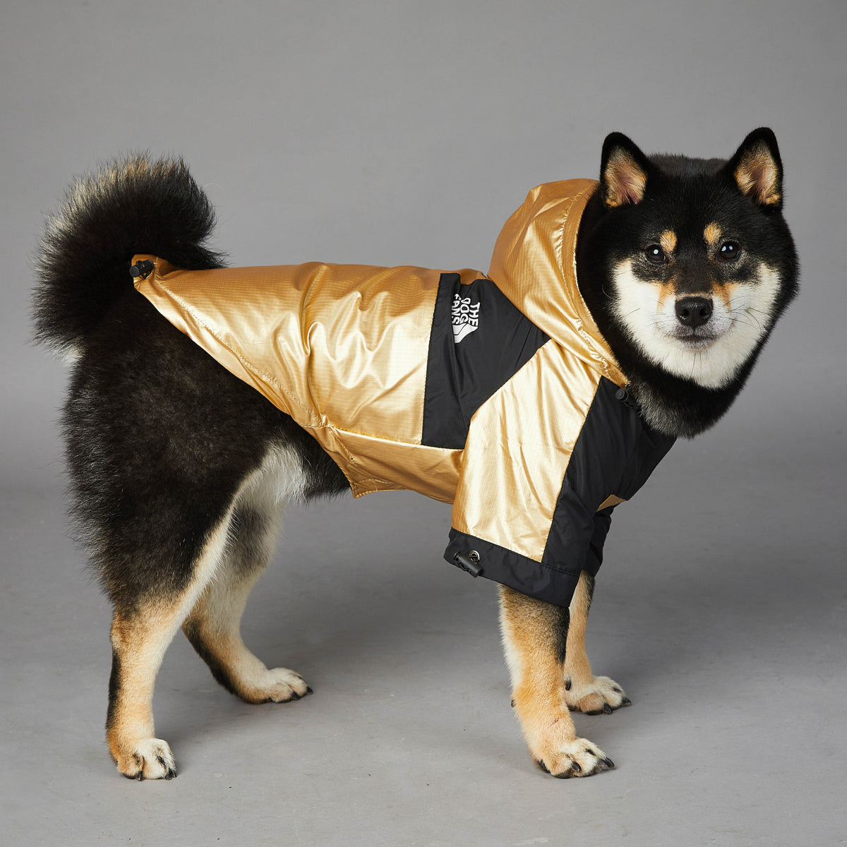 Gold Dog Raincoat Jacket