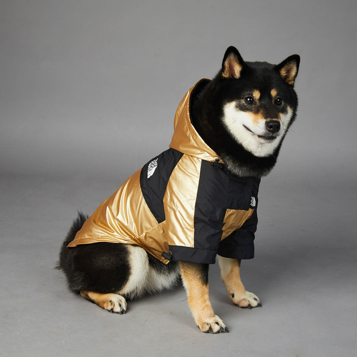 Gold Dog Raincoat Jacket