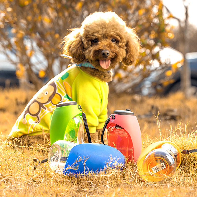 Wide-Trough Pet Water Bottle