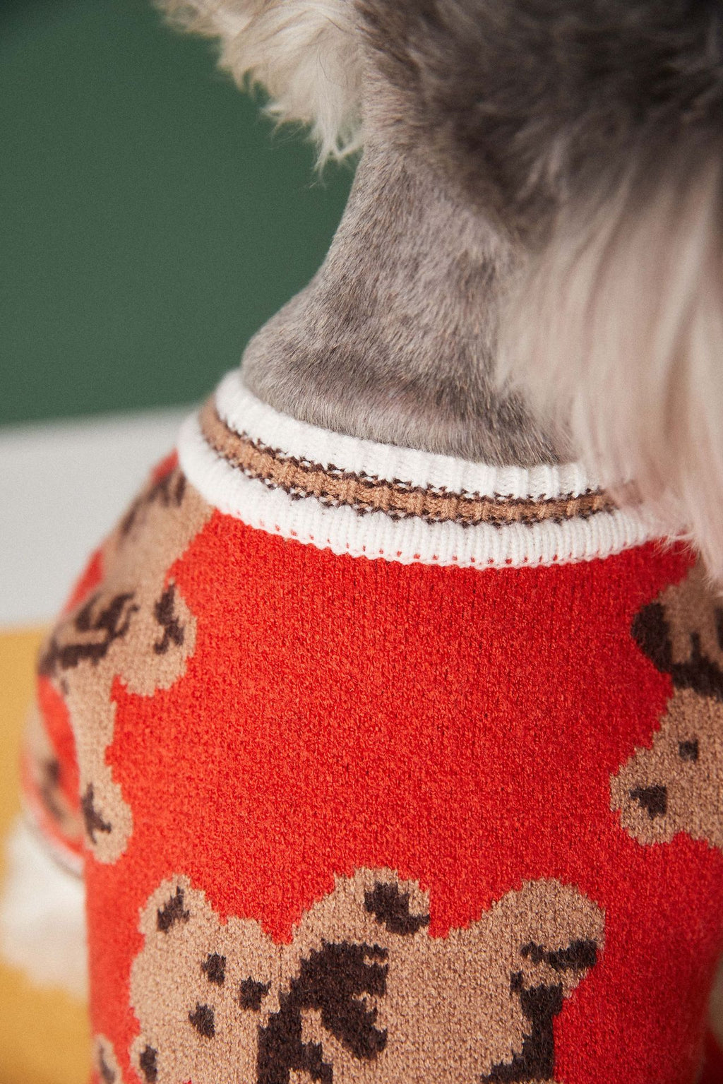 Knit Pet Sweater with Leash Hole
