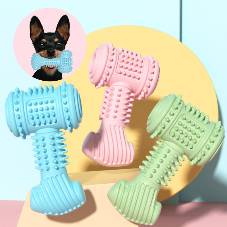 Textured Big Bone Chew Toy for Dogs