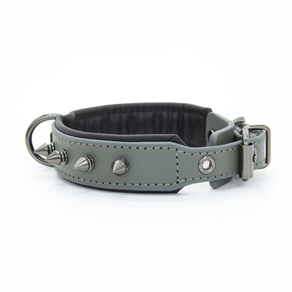 Riveted Leather Dog Collar