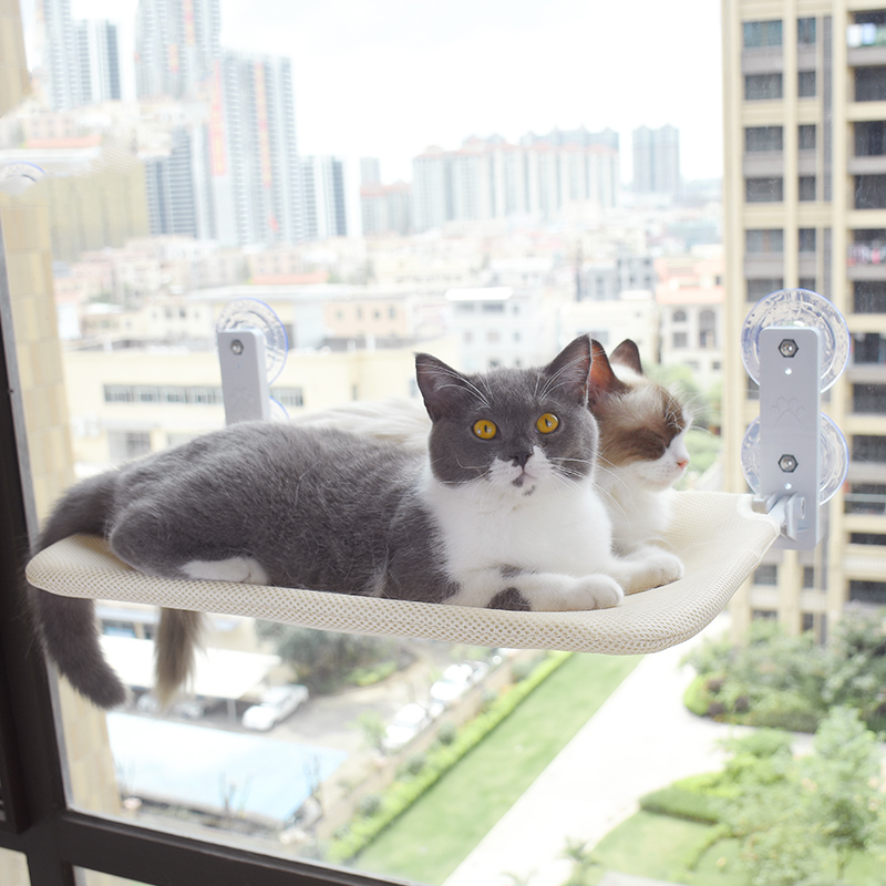 Window Cat Perch with Suction Cups
