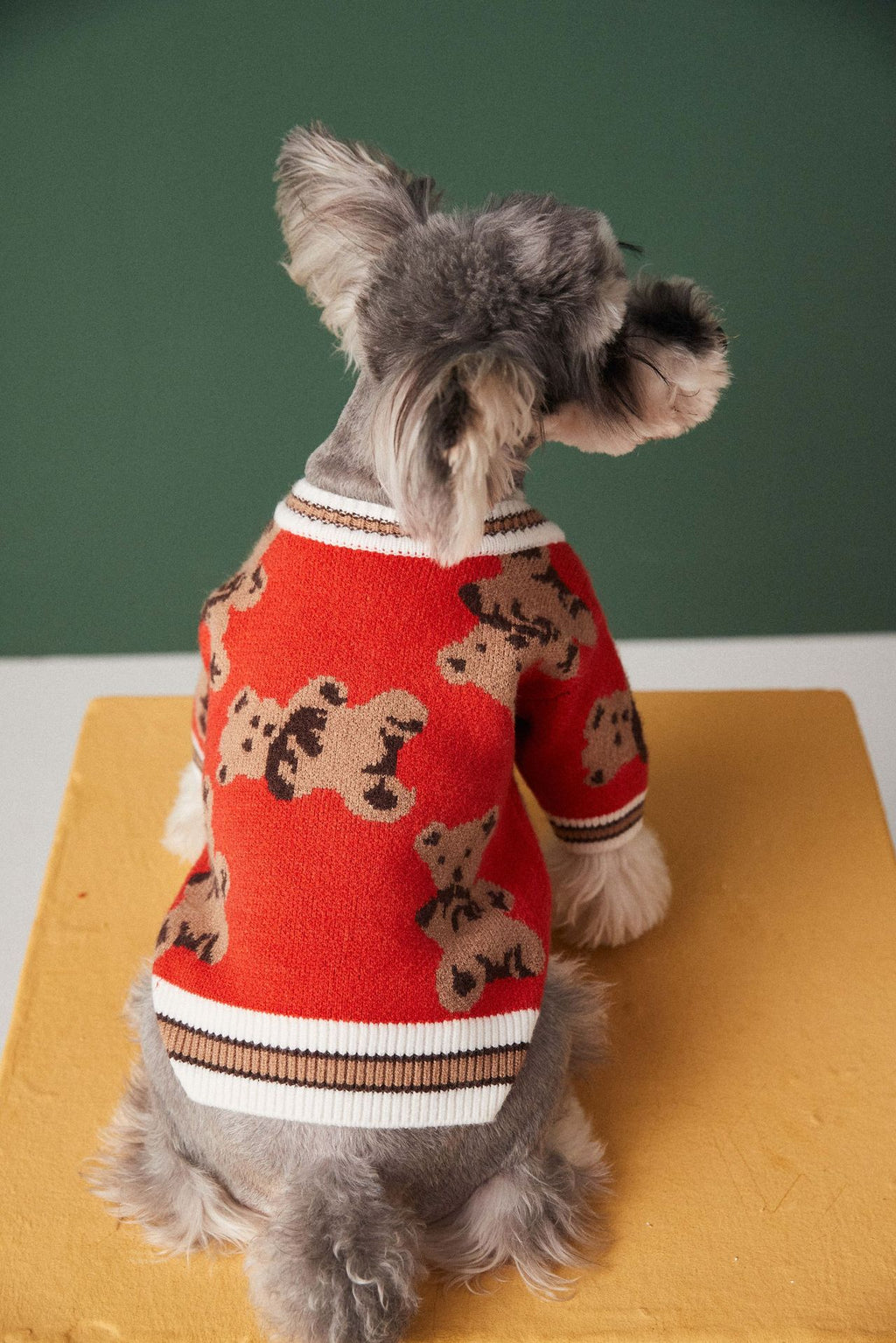 Knit Pet Sweater with Leash Hole