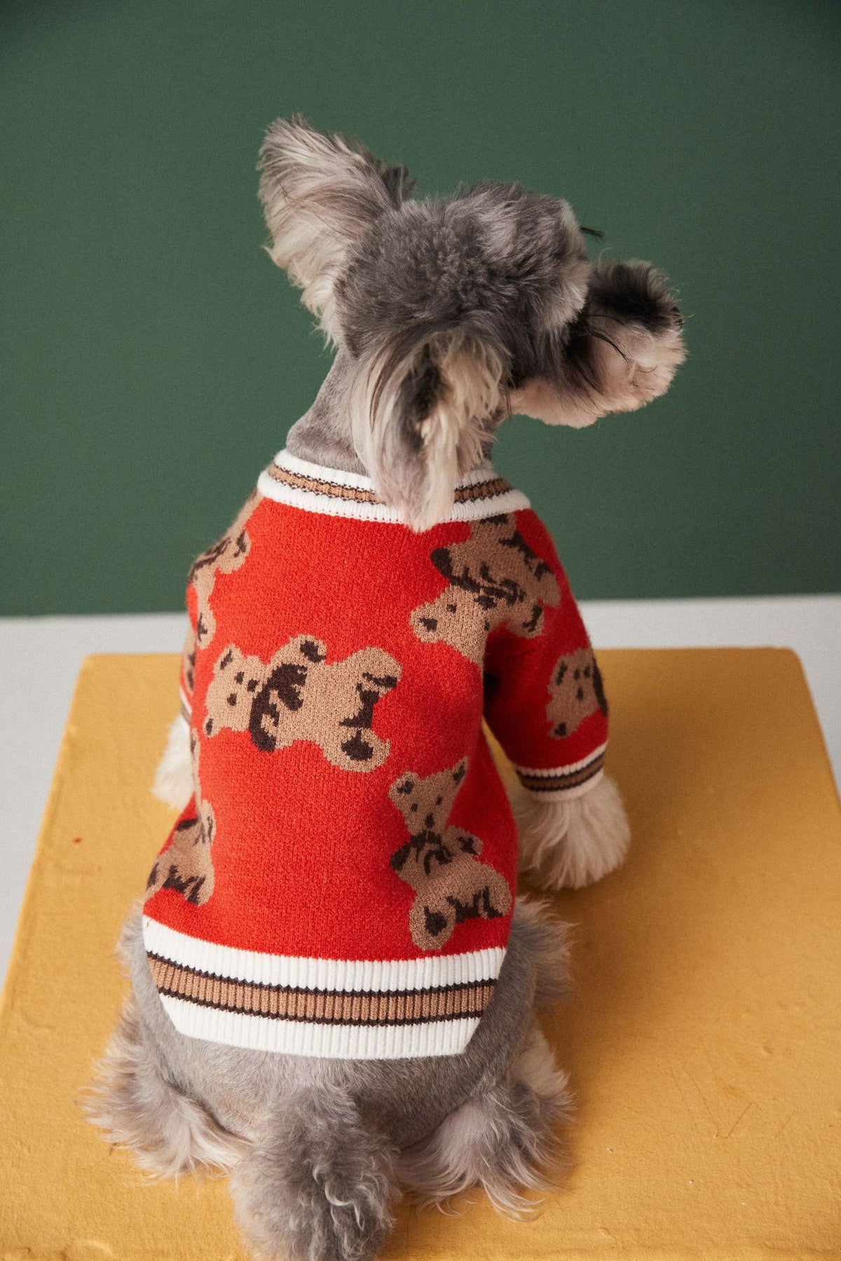 Knit Pet Sweater with Leash Hole