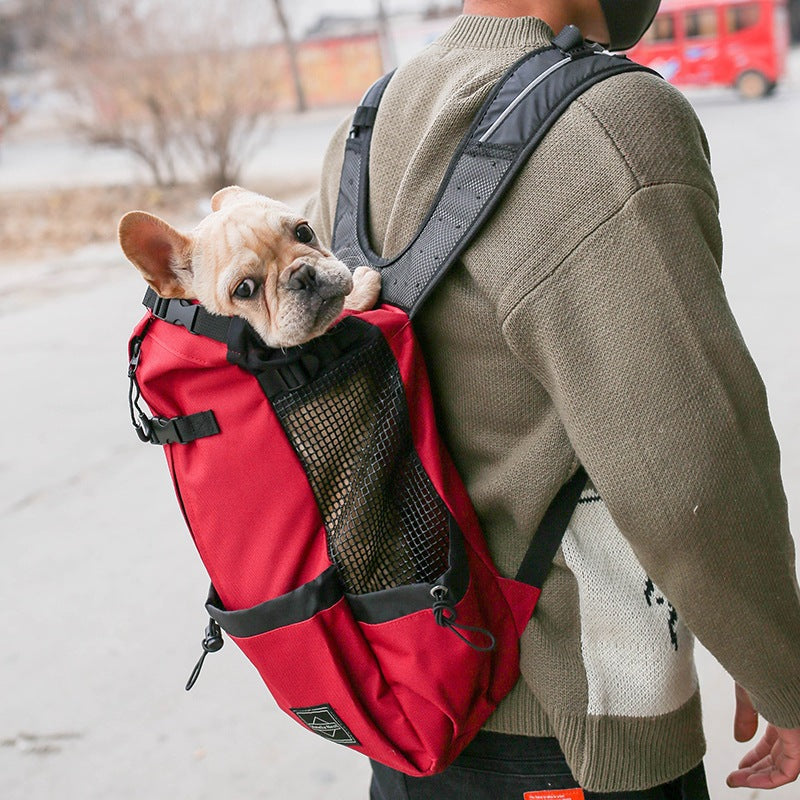 Double-Strap Dog Carrier Backpack