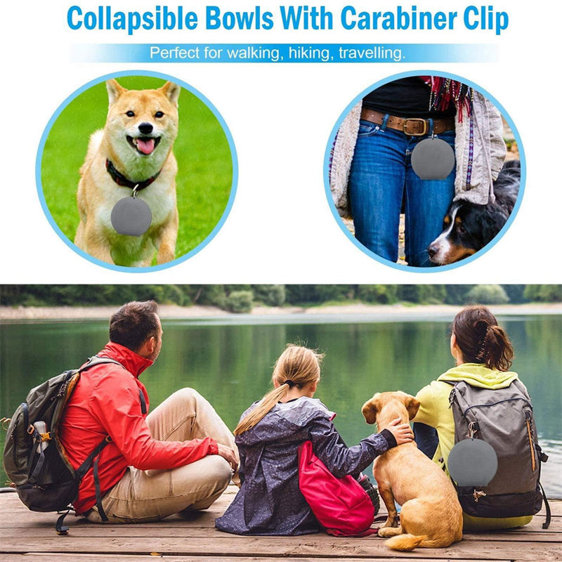 Collapsible Double Pet Bowl with Mat