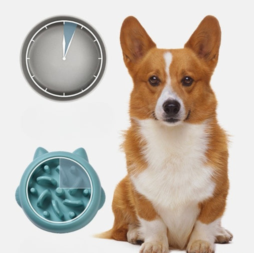Dog sitting next to the green Slow Feeder Bowl