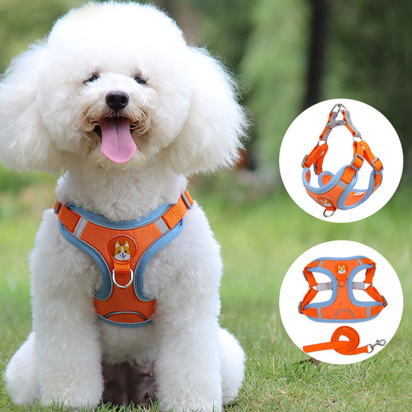 Reflective Soft Harness and Leash Set