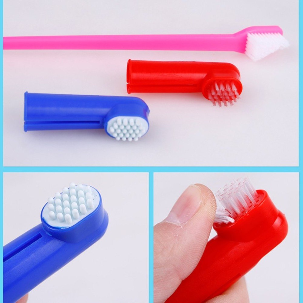 Pet Toothbrush and Finger Brush Set