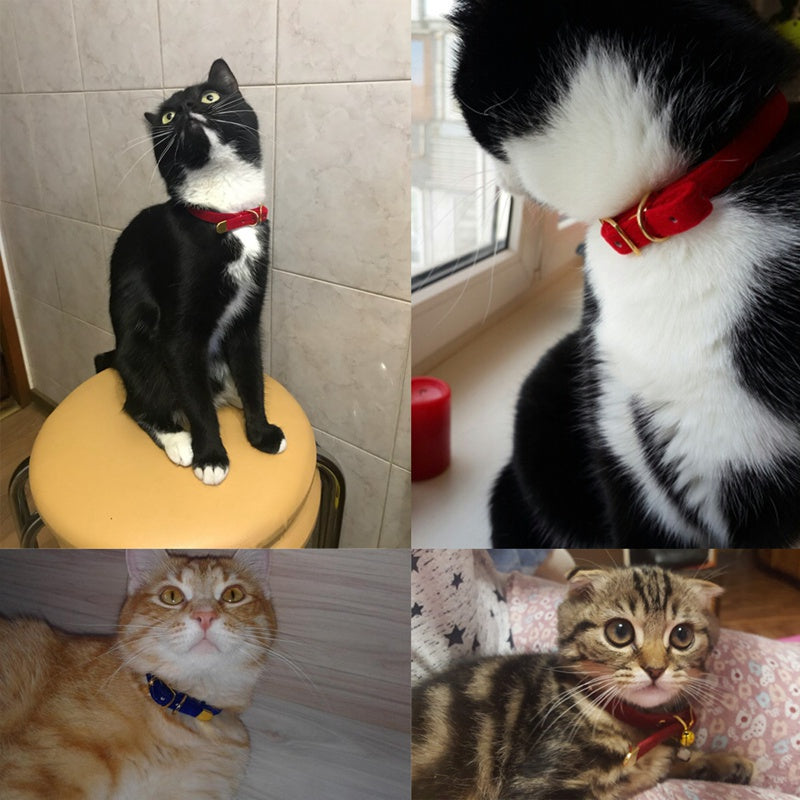 Flocked Fabric Cat Collar