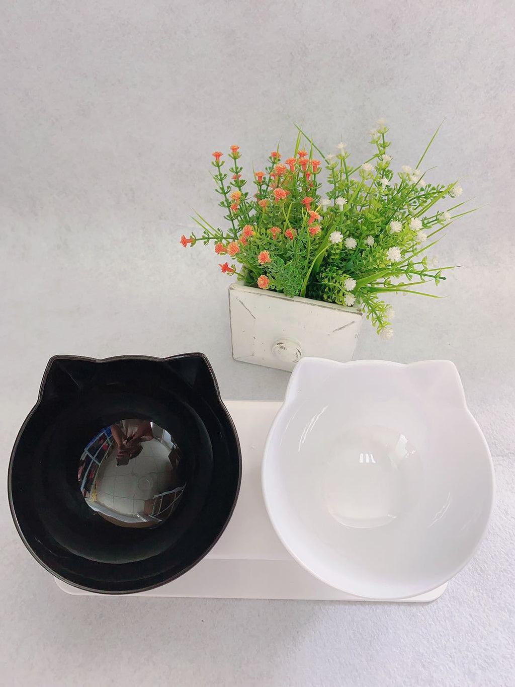 Cat Head Tilted Double Bowl
