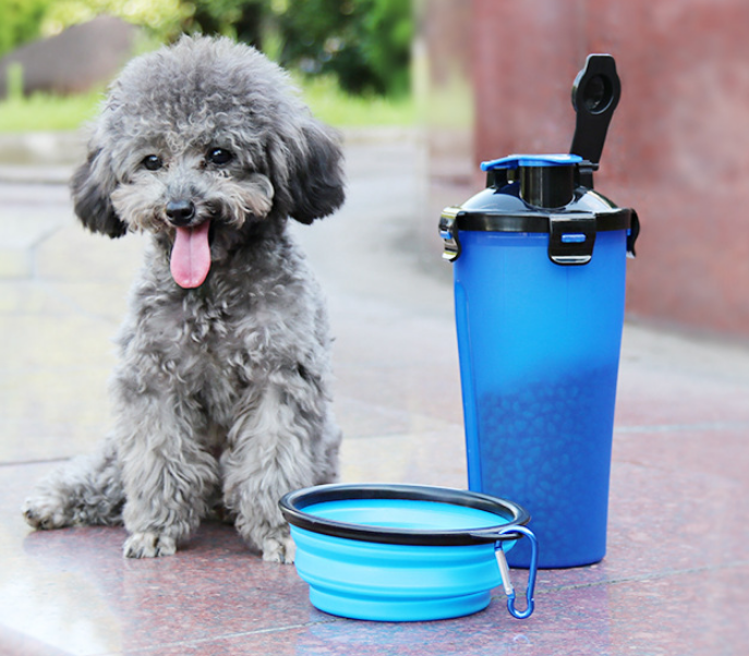 2-in-1 Water Bottle and Food Container