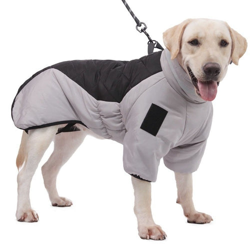 Padded Winter Dog Coat