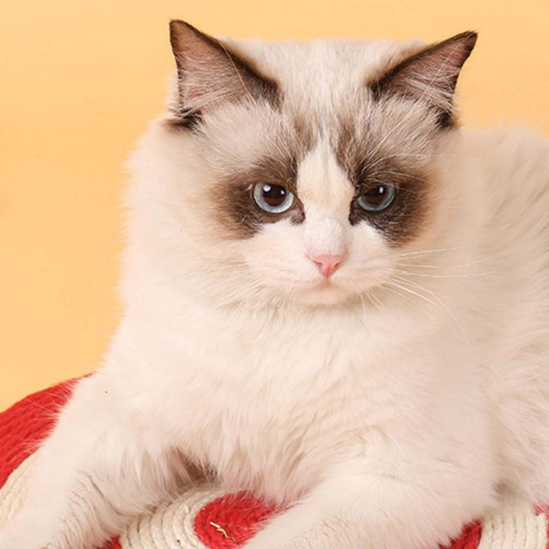 Sisal Cat Scratching Mat