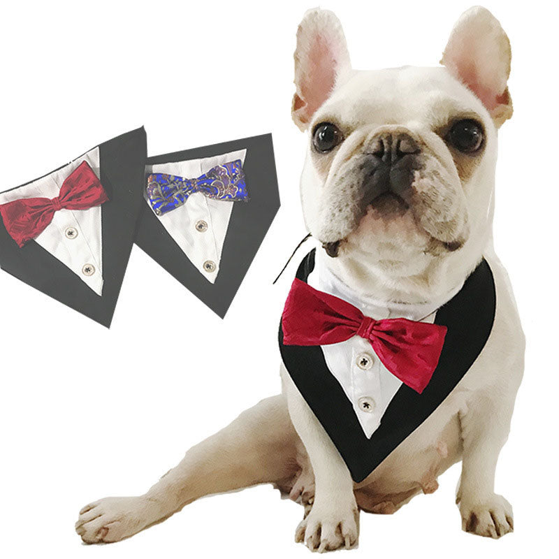 Printed Triangle Pet Bandana