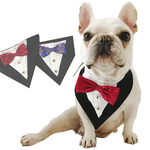 Printed Triangle Pet Bandana