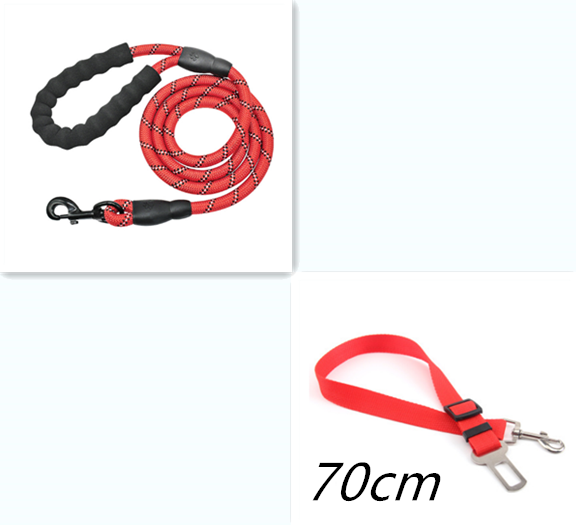 Reflective Nylon Dog Leash - Red set