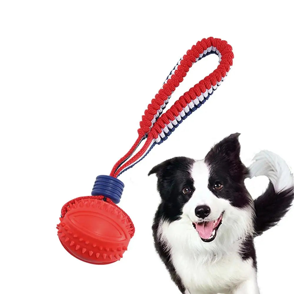 Ball Toy with Elastic Rope for Dogs
