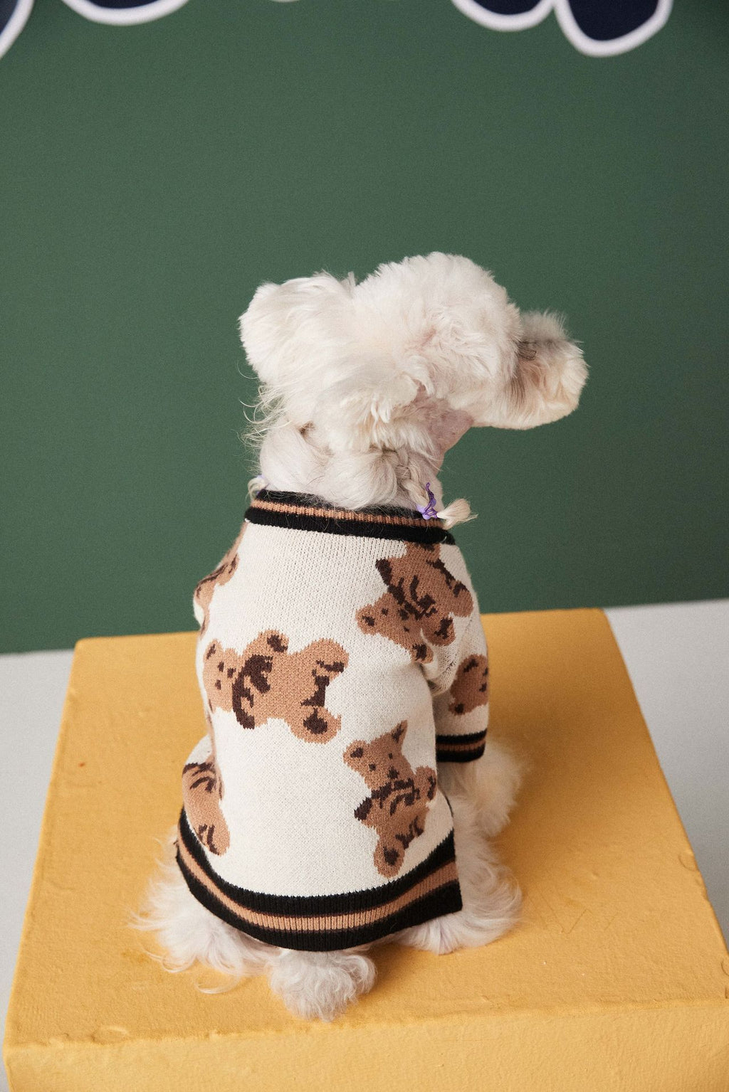 Knit Pet Sweater with Leash Hole