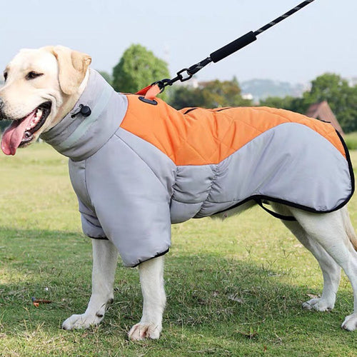 Padded Winter Dog Coat