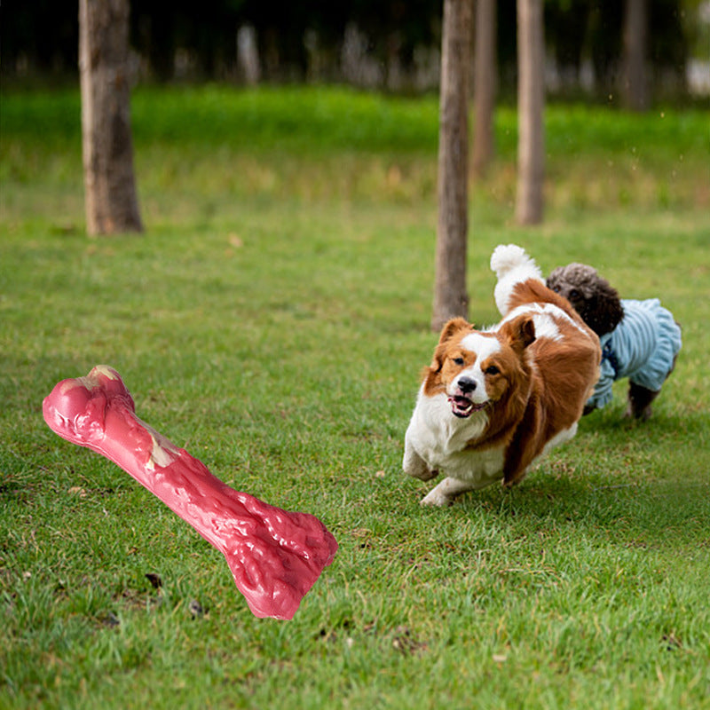 Rubber Bone Chew Toy
