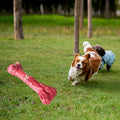 Rubber Bone Chew Toy