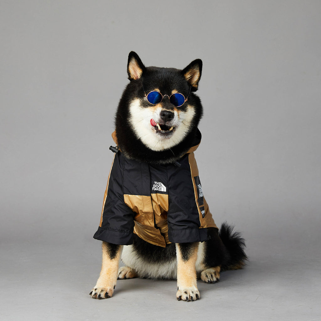 Gold Dog Raincoat Jacket