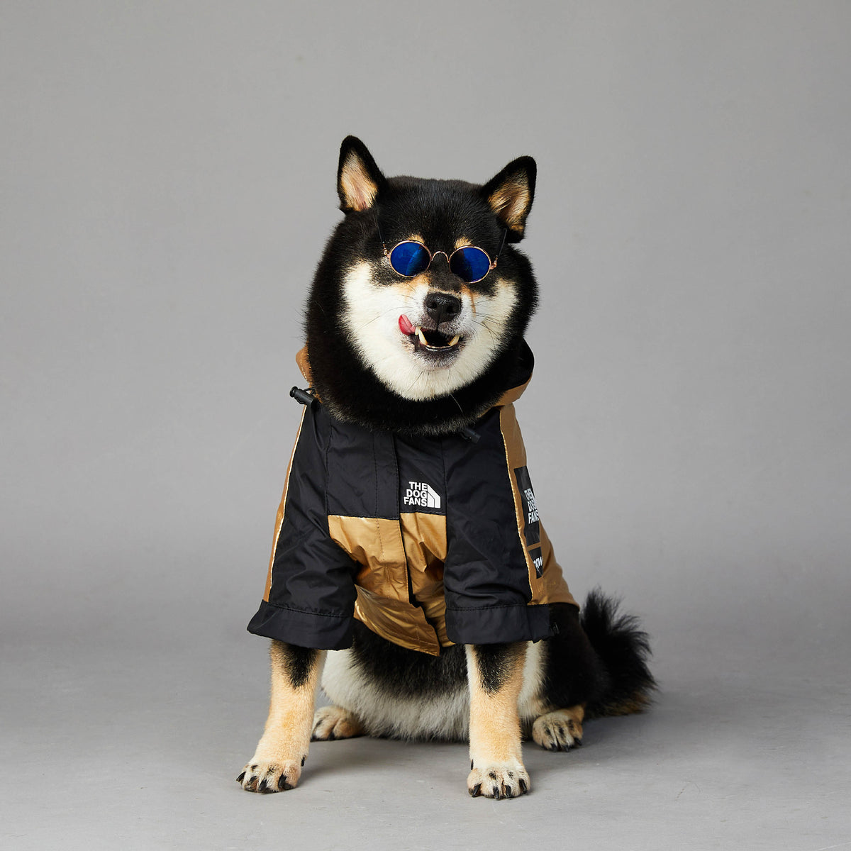Gold Dog Raincoat Jacket