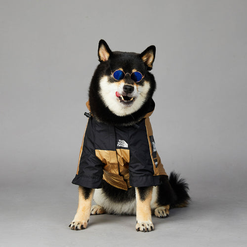 Gold Dog Raincoat Jacket