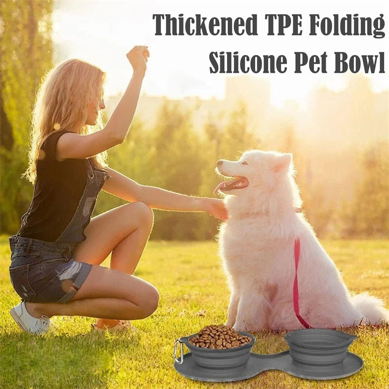 Collapsible Double Pet Bowl with Mat