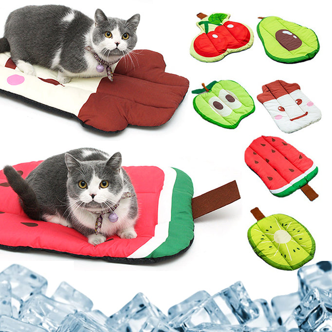 Fruit Design Pet Mat