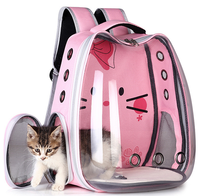 Hard-Shell Pet Carrier Backpack