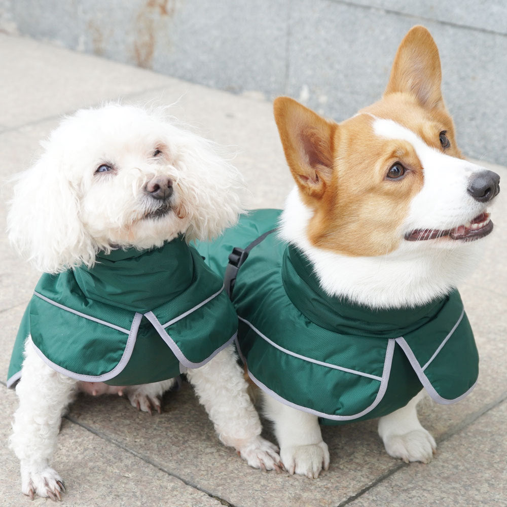 Warm Dog Shell Jacket