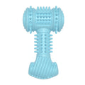 Textured Big Bone Chew Toy for Dogs